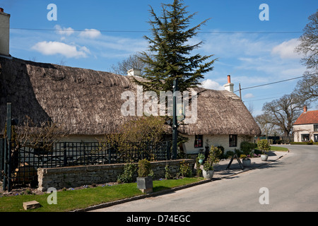 Thatched cottage the Star Inn village pub and restaurant Harome near Helmsley North Yorkshire England UK United Kingdom GB Great Britain Stock Photo