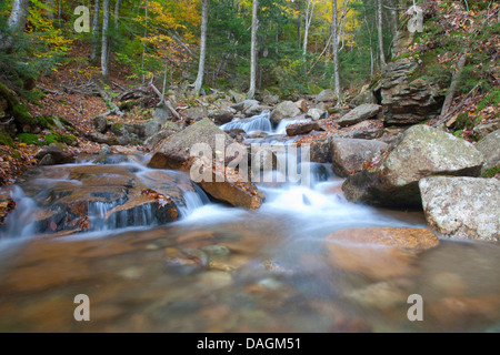 wild creek with boulders in autumn forest, USA, New Hampshire, Franconia Notch-State Park, Lincoln Stock Photo