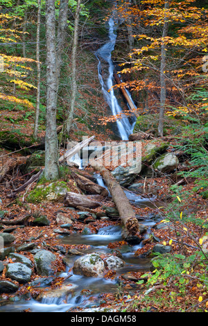 wild creek with boulders in autumn forest, USA, New Hampshire, Franconia Notch-State Park, Lincoln Stock Photo