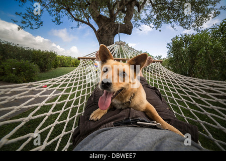 Man and dog relaxing on the hammock Stock Photo