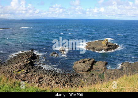 Giant's Causeway near Bushmills, Antrim, Northern Ireland, UK. Stock Photo