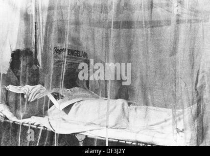 The image from the Nazi Propaganda! depicts a soldier of the German Wehrmacht lying in his tent under a mosquito net reading the newspaper - 'Against England' is the headline - in Africa, published on 18 June 1942. Place unknown. Fotoarchiv für Zeitgeschichte Stock Photo