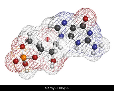 Cyclic guanosine monophosphate (cGMP) molecule. Important second messenger, produced by guanylate cyclase. Stock Photo