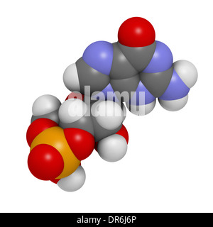 Cyclic guanosine monophosphate (cGMP) molecule. Important second messenger, produced by guanylate cyclase. Stock Photo