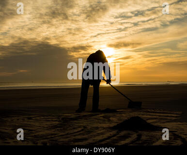 The Headland, Hartlepool, UK. 10th April, 2014. Seacoaler at sunrise on a glorious Thursday morning on the north east coast of England.  Washed up sea coal is gathered into piles and loaded onto a pick up truck to be later cleaned and sold on to power stations. Credit:  ALANDAWSONPHOTOGRAPHY/Alamy Live News Stock Photo