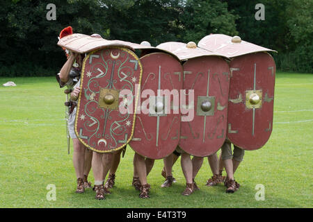 Roman soldiers defensive shields Stock Photo