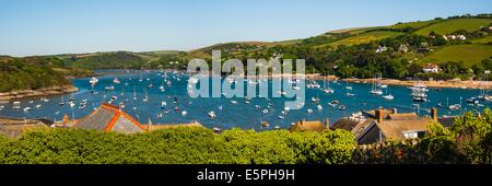 Salcombe, Devon, England, United Kingdom, Europe Stock Photo