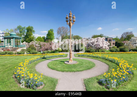 Magnolia blossom in the Moorish Garden, Wilhelma, Stuttgart, Baden-Wurttemberg, Germany Stock Photo