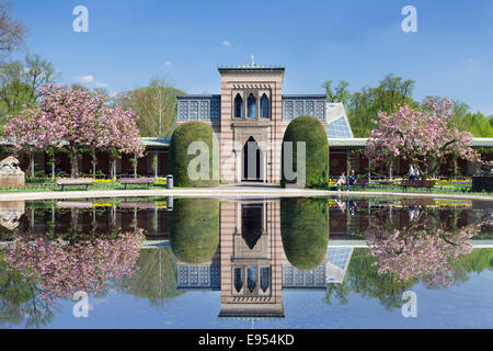 Magnolia blossom in the Moorish Garden, Wilhelma, Stuttgart, Baden-Wurttemberg, Germany Stock Photo