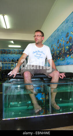 Doctor fish, Nibble fish, Kangal fish (Garra rufa), man in a fish spa, doctor fishes feeding on skin particles of human feet Stock Photo