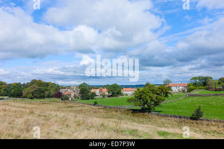 Goathland village with surrounding fields and dry stone walls in the heart of the North York Moors National Park, Yorkshire, UK. Stock Photo