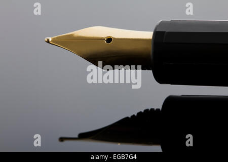 Stationary Fountain Pen Nobody Stock Photo