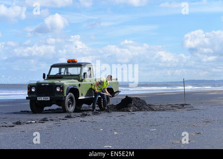 Hartlepool, Cleveland, UK. 28th April 2015. Tony Reid, 22, from Hartlepool forages for Sea-coal that is washed up on the high tide. The tradition has been practiced for centuries on the North East coast but now only a handful of people still keep the tradition going. The coal sells for approx £10 per tonne and is used in coal power stations. Credit:  Robert Smith/Alamy Live News Stock Photo