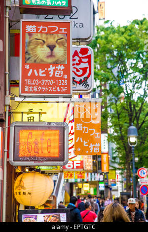 Cat cafe in Tokyo Stock Photo