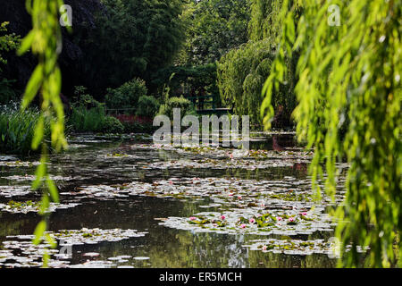 Pond with water lilies in Claude Monet's garden in Giverny, Eure. Normandy, France Stock Photo