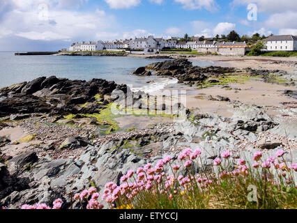 Thrift Sea Pink Armeria maritima flowers and view along coast of Loch Indaal to Port Charlotte Isle of Islay Inner Hebrides Western Isles Scotland UK Stock Photo