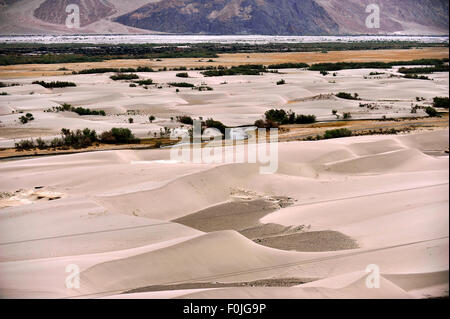 India Jammu Kashmir Ladakh Sand dunes at Hunder in Nubra Valley Stock Photo