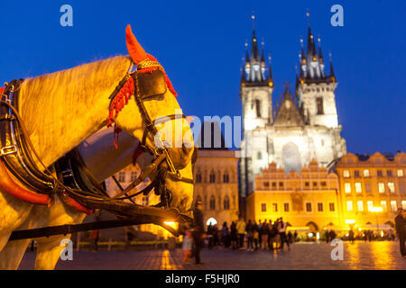 Horses Prague Old Town Square Czech Republic Stock Photo