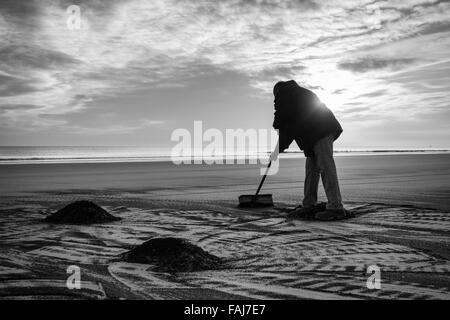 Seacoaler at Hartlepool on the north east coast of England. UK Stock Photo