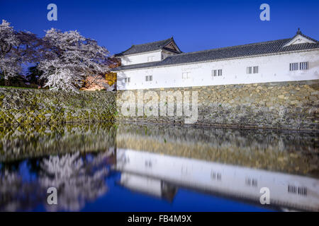 Hikone, Japan sakura cherry trees at Hikone Castle outer moat. Stock Photo