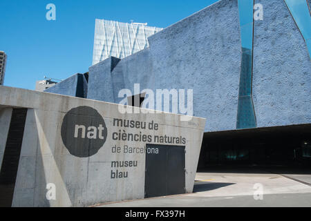 Telefonica building and Museu Blau,Blue Museum, in the Diagonal mar district, Port Forum,Barcelona,Catalonia,Spain. Stock Photo