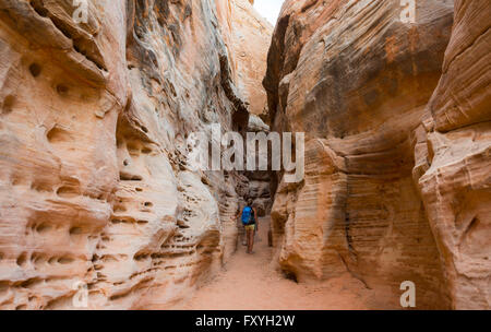 Hiker walking through a canyon, red orange sandstone rock, trail, Valley of Fire State Park, Nevada, USA Stock Photo