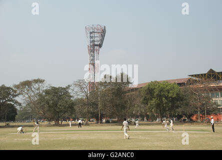 Cricket playing in Maidan area, near Eden Gardens stadium, Kolkata, West Bengal, India Stock Photo