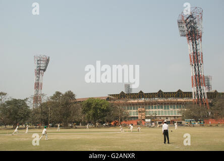 Cricket playing in Maidan area, near Eden Gardens stadium, Kolkata, West Bengal, India Stock Photo