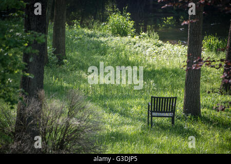 Empty Chair In Woods Solitude Stock Photo