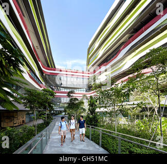 View along landscaped walkways with natural vegetation. Singapore University of Technology and Design, Singapore, Singapore. Architect: UNStudio, 2015. Stock Photo