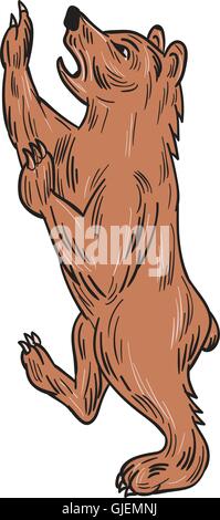 Drawing sketch style illustration of an American black bear,Ursus americanus, a medium-sized bear native to North America prancing viewed from the side set on isolated white background. Stock Vector