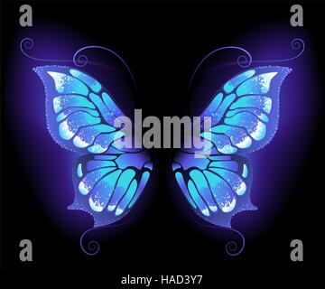 glowing, purple butterfly wings on a black background. Stock Vector