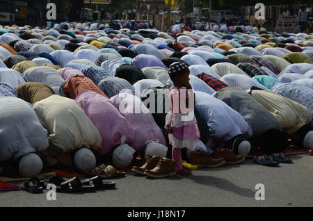 People praying namaz eid festival, jodhpur, rajasthan, india, asia Stock Photo