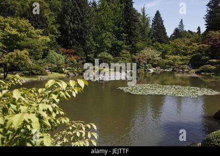 Japanese Garden, Seattle Arboretum Stock Photo