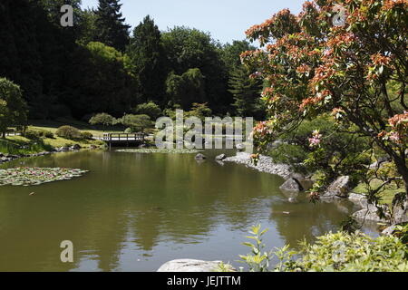 Japanese Garden, Seattle Arboretum Stock Photo