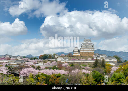 Cherry blossom flowers season with Himeji castle in Himeji city, Hyogo near Osaka, Japan Stock Photo