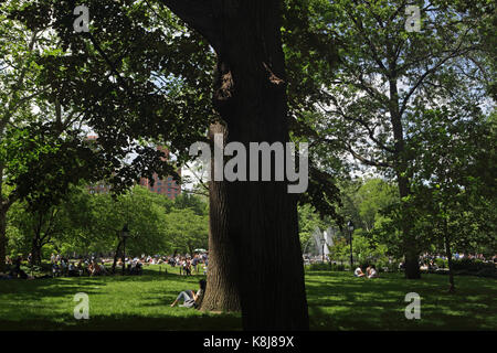 New York, NY, USA - June 1, 2017: Girl enjoys sitting under a shady tree on a sunny day in Washington Square Park Stock Photo