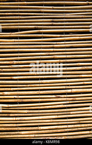 natural bamboo blind asia style Covering a window Stock Photo