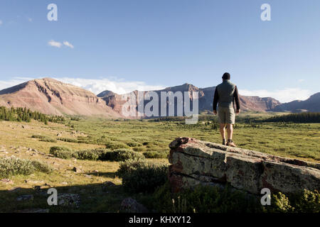 Male hiker looking out over landscape and mountains, Wasatch-Cache National Forest, Utah, USA Stock Photo