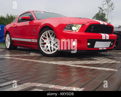 Red 2010 Ford Mustang Shelby GT500 in the rain. This model is one of the most popular cars for Mustang fans. Stock Photo