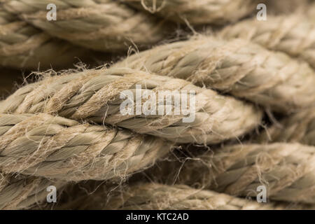 Old rope close up Stock Photo