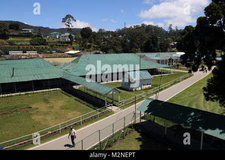 Royal Turf Club Nuwara Eliya Hill Country Central Province Sri Lanka Stock Photo