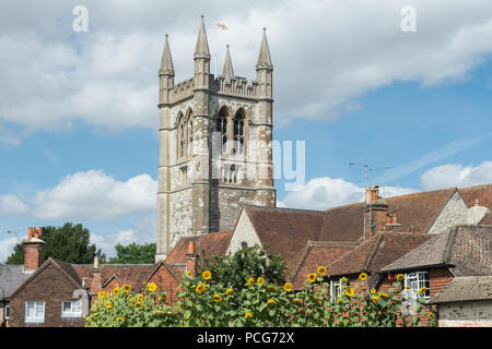 St. Andrew's Anglican parish church with sunflowers in the foreground, Farnham, Surrey Stock Photo