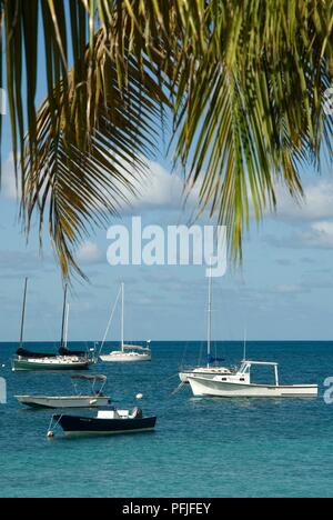 Puerto Rico, Vieques Island, Esperanza Bay, boats moored in the sea, with leaves from a palm tree in the foreground Stock Photo