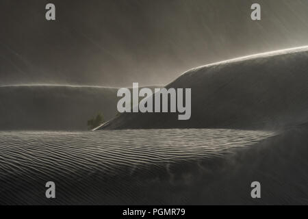 A sand storm in the sand dunes amidst the Himalayan mountains at Nubra Valley, Ladakh, India Stock Photo