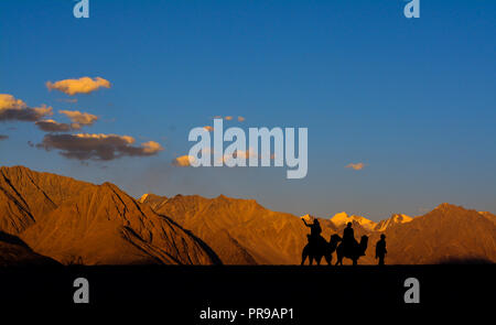 A camel ride at Sand Dunes, Hunder in Ladakh region of Jammu & Kashmir (India) Stock Photo