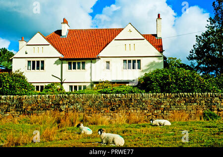 Water Ark Lodge, Goathland, North Yorkshire Moors, England Stock Photo