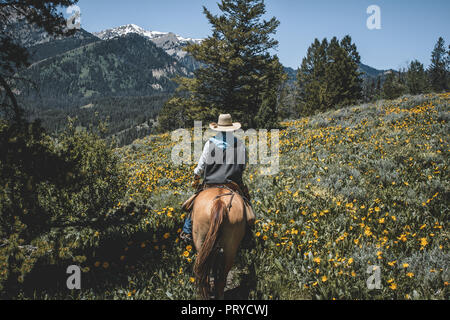 Horse back riding Stock Photo