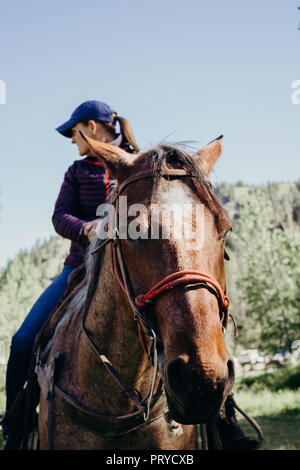 Horse back riding Stock Photo