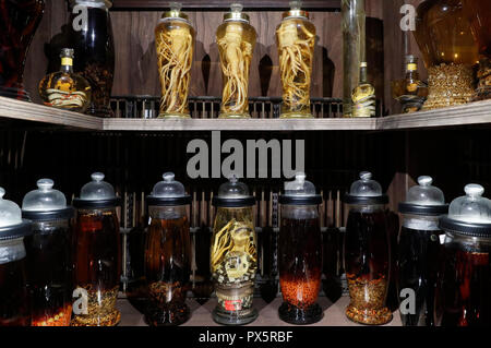 Museum of Traditional Vietnamese Medicine.  Bottle with herbs, ginseng  and  snake wine. Pharmacy.  Ho Chi Minh City. Vietnam. Stock Photo